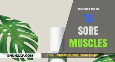CBD for Muscle Recovery: Easing Soreness and Promoting Healing