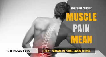 Understanding Chronic Muscle Pain: Causes, Symptoms, and Effective Management Strategies