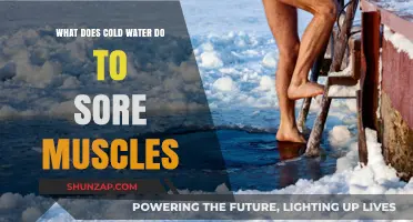 Cold Water Therapy: How It Soothes and Heals Sore Muscles