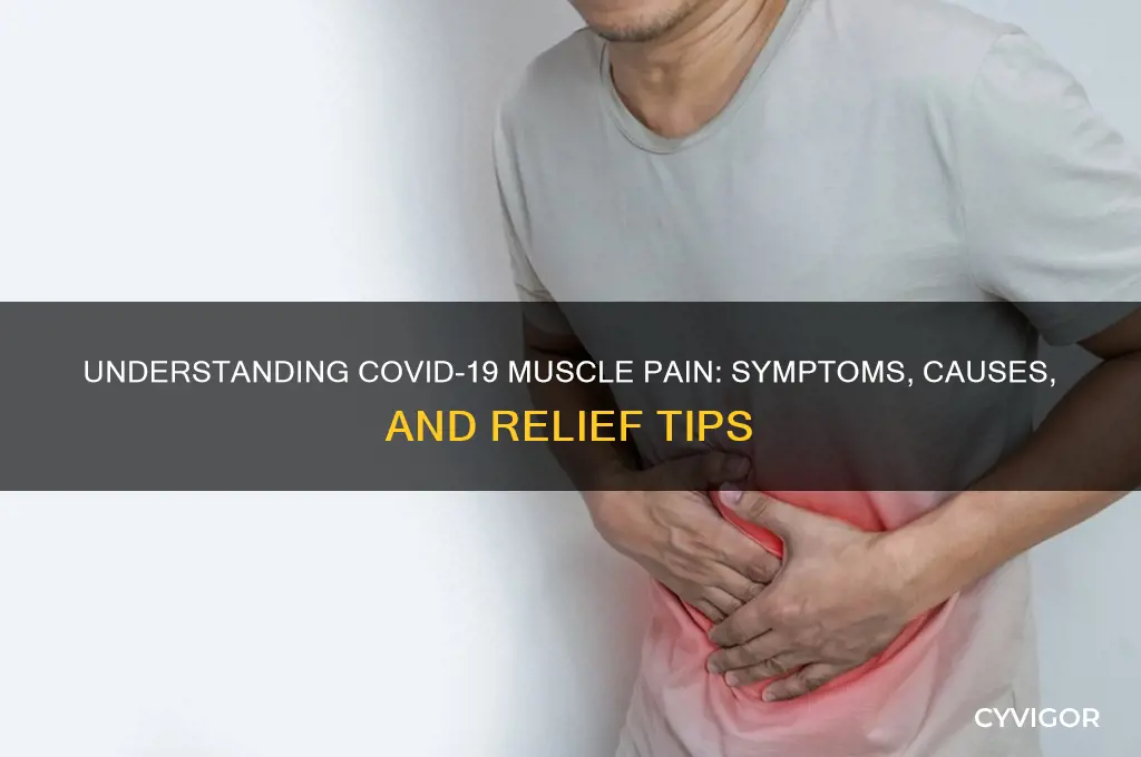 what does coronavirus muscle pain feel like