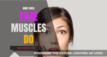 The Many Roles of Our Facial Muscles