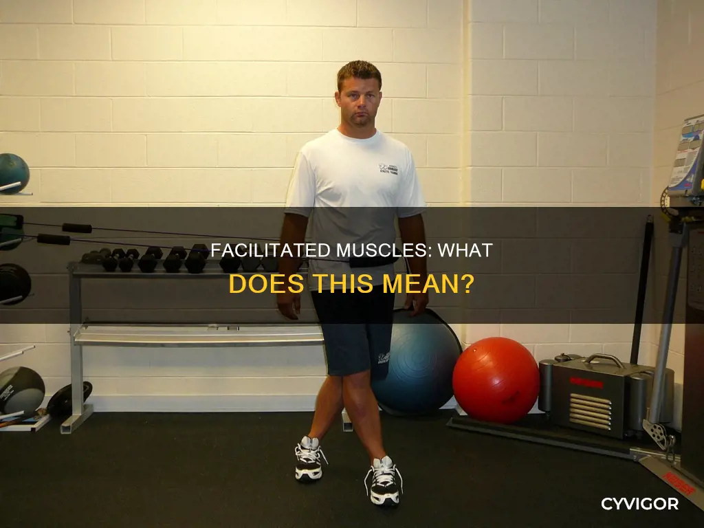 what does facilitated muscle mean