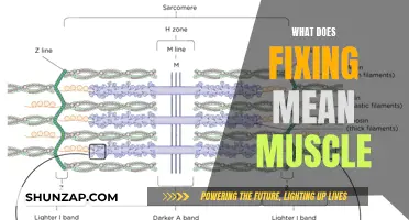 Fixing Muscle: The Ultimate Guide to Muscle Recovery