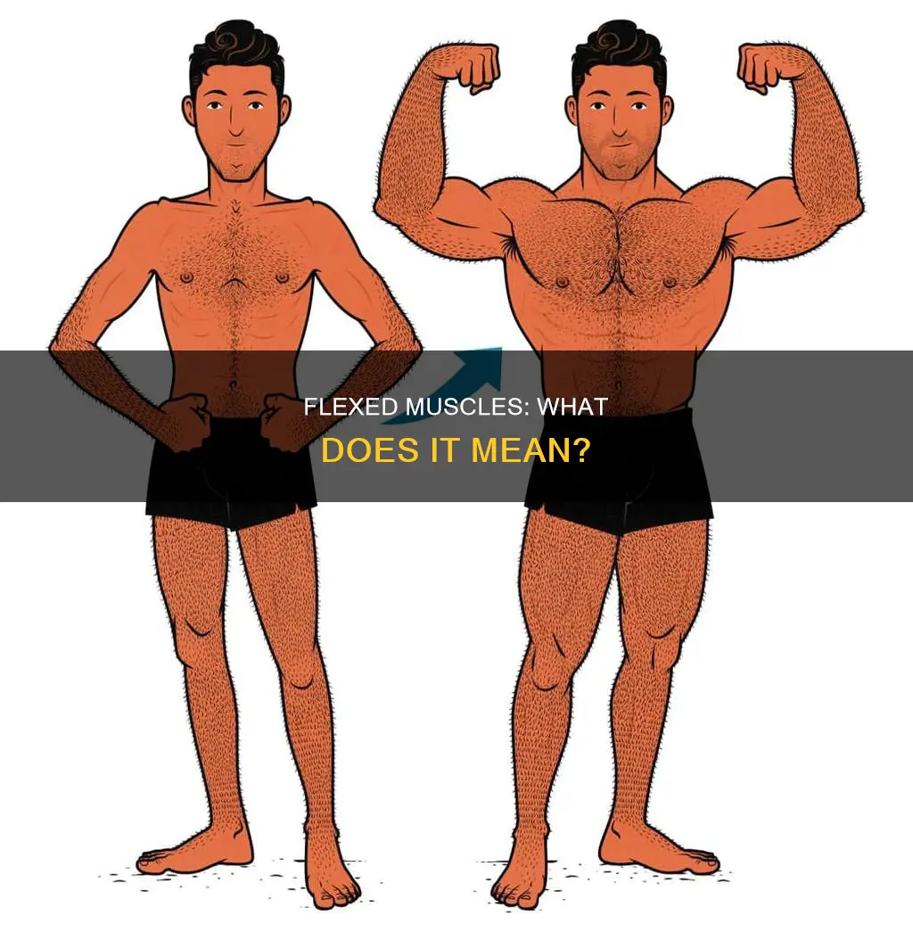 what does flexed muscles suggest