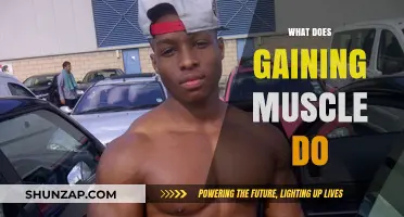 Gaining Muscle: Benefits, Impact, and Transformative Effects on Your Body