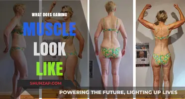 Understanding Muscle Growth: Visual Signs and Transformational Changes Explained
