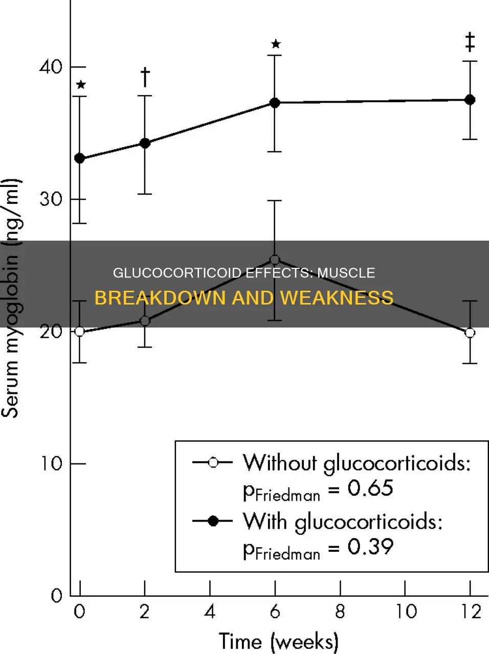 what does glucocorticoid to muscles