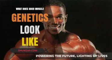 Unveiling the Secrets of Good Muscle Genetics: A Comprehensive Guide