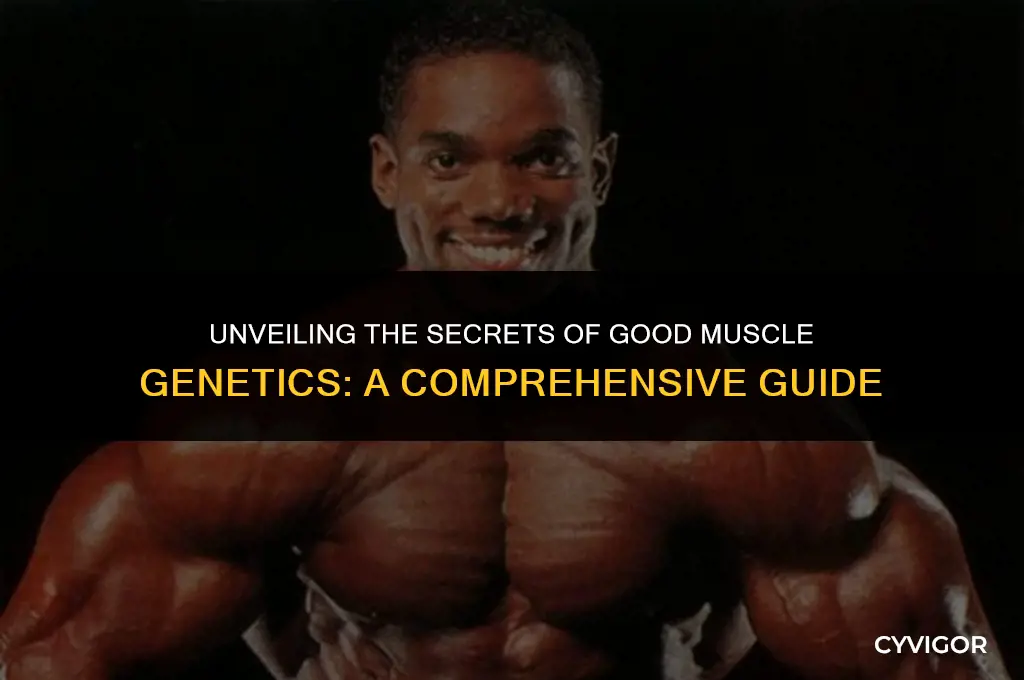 what does good muscle genetics look like