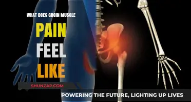 Understanding Groin Muscle Pain: Symptoms, Causes, and Relief Strategies