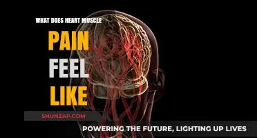 Understanding Heart Muscle Pain: Symptoms, Causes, and When to Seek Help
