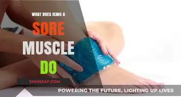 Icing Sore Muscles: Benefits, Science, and Proper Application Techniques