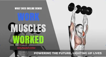 Incline Bench Press: Muscles Targeted and Benefits Explained