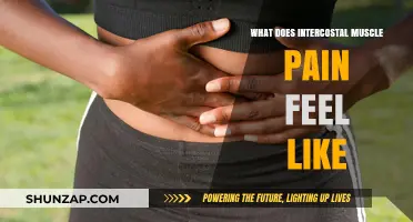 Understanding Intercostal Muscle Pain: Symptoms, Causes, and Relief Options