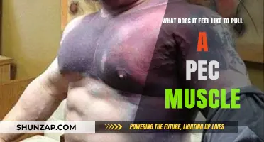 Pulling a Pec Muscle: Understanding the Pain and Recovery Process