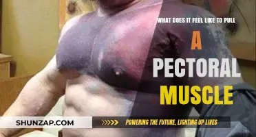 Pulling a Pectoral Muscle: Understanding the Pain and Recovery Process