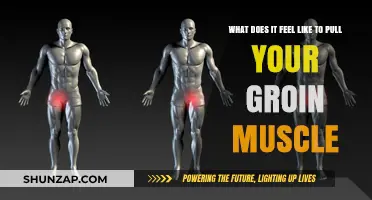 Pulling Your Groin Muscle: Understanding the Pain and Recovery Process