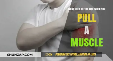 Pulling a Muscle: Understanding the Sudden Pain and Discomfort