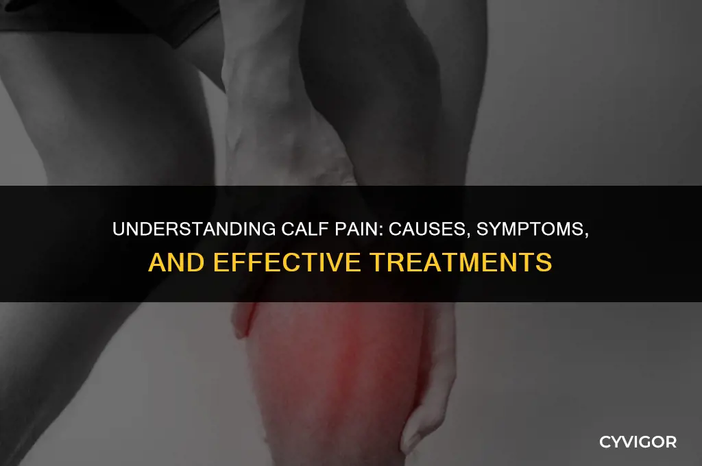 what does it mean if your calf muscle hurts