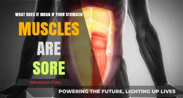 Why Your Stomach Muscles Are Sore: Causes and Remedies Explained