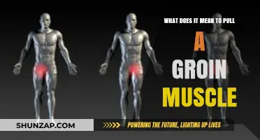 Understanding Groin Strains: Causes, Symptoms, and Recovery Tips
