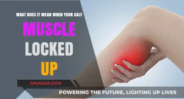 Understanding Calf Muscle Spasms: Causes, Symptoms, and Relief