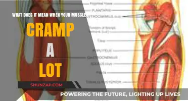 Understanding Muscle Cramps: Causes, Prevention, and Relief