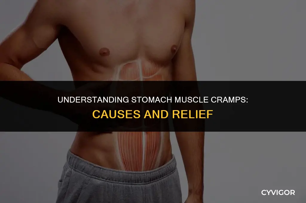 what does it mean when your stomach muscles cramp up