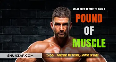 Building Muscle: The Science and Effort Behind Gaining a Pound