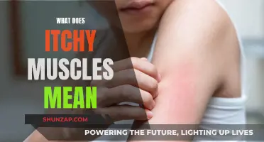 Understanding Itchy Muscles: Causes and Cures