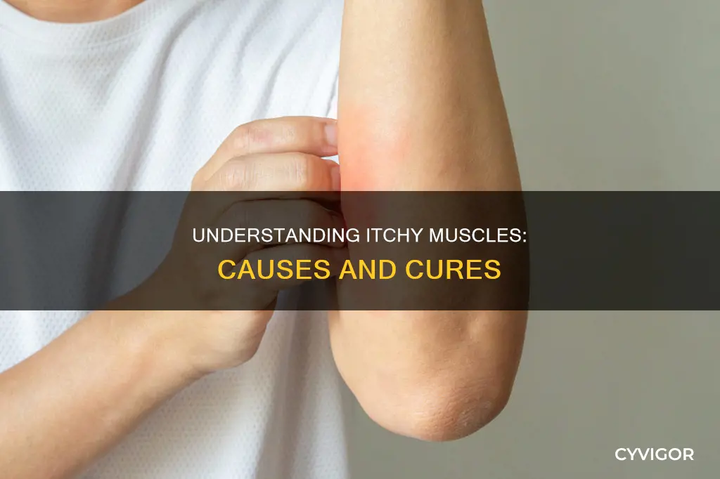 what does itchy muscles mean