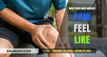 Understanding Knee Muscle Pain: Symptoms, Causes, and Relief Strategies