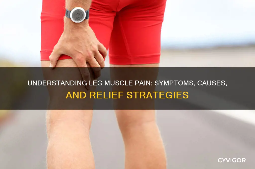 what does leg muscle pain feel like