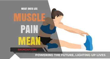 Understanding Leg Muscle Pain: Causes, Symptoms, and Effective Relief Strategies