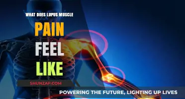 Understanding Lupus Muscle Pain: Symptoms, Causes, and Coping Strategies