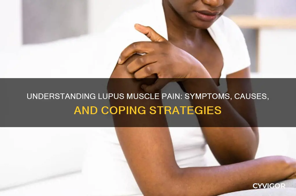 what does lupus muscle pain feel like