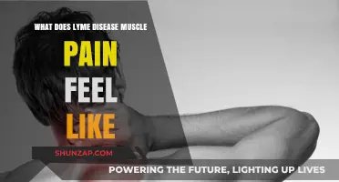 Understanding Lyme Disease Muscle Pain: Symptoms, Intensity, and Relief Strategies