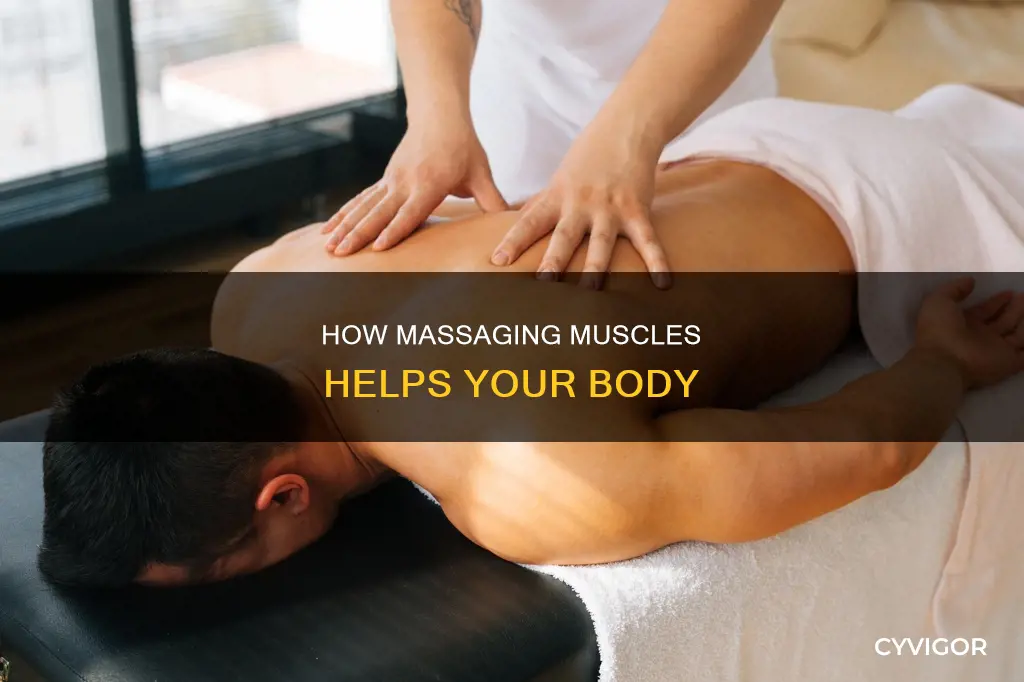 what does massaging muscles do