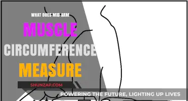 Understanding Mid-Arm Muscle Circumference: A Key Health Measurement
