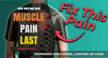 Understanding Mid Back Muscle Pain Duration: Causes, Relief, and Recovery