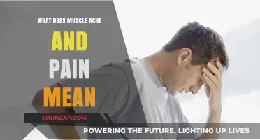 Understanding Muscle Aches and Pains: Causes, Symptoms, and Relief Strategies