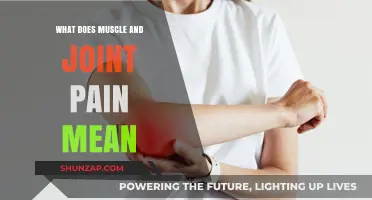 Understanding Muscle and Joint Pain: Causes, Symptoms, and Relief Options