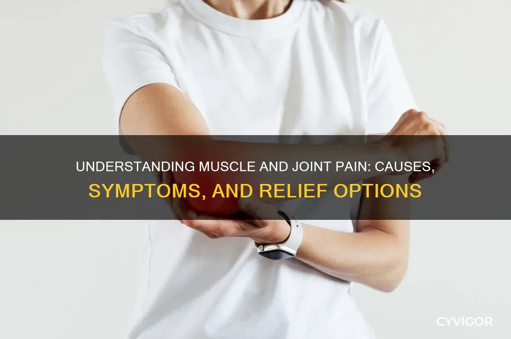 what does muscle and joint pain mean