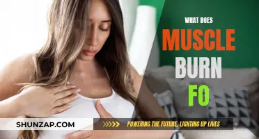 Muscle Burn: What's the Science Behind the Pain?