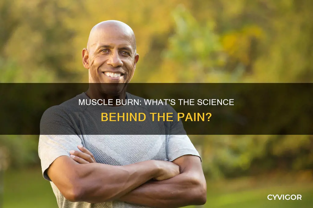 what does muscle burn fo