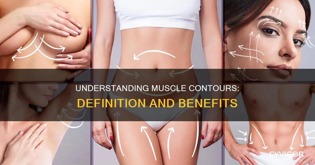 what does muscle contorns mean