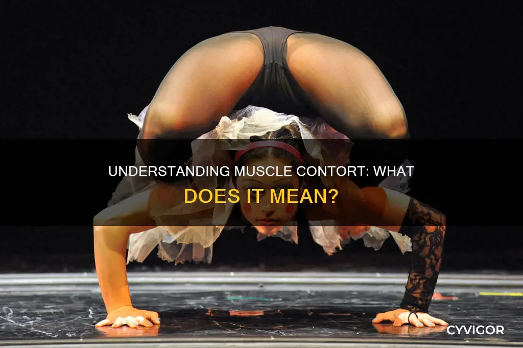 what does muscle contort mean