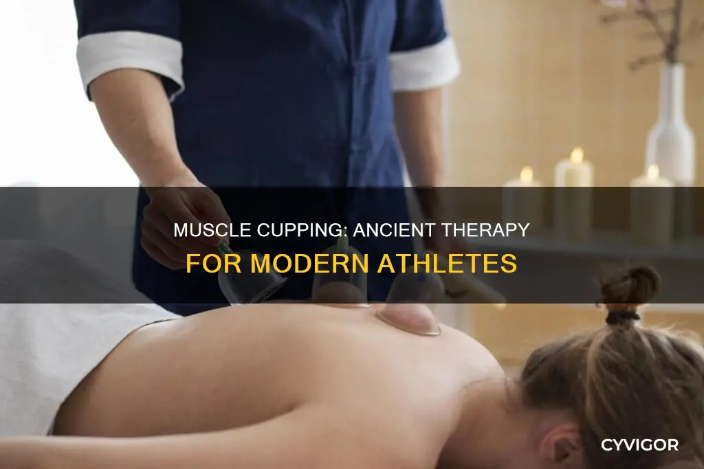 what does muscle cupping do