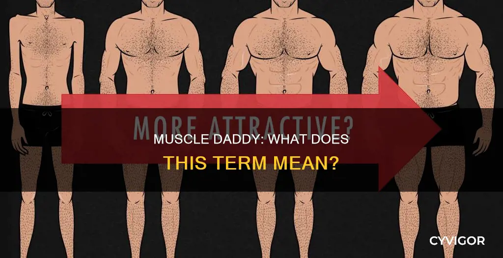 what does muscle daddy mean