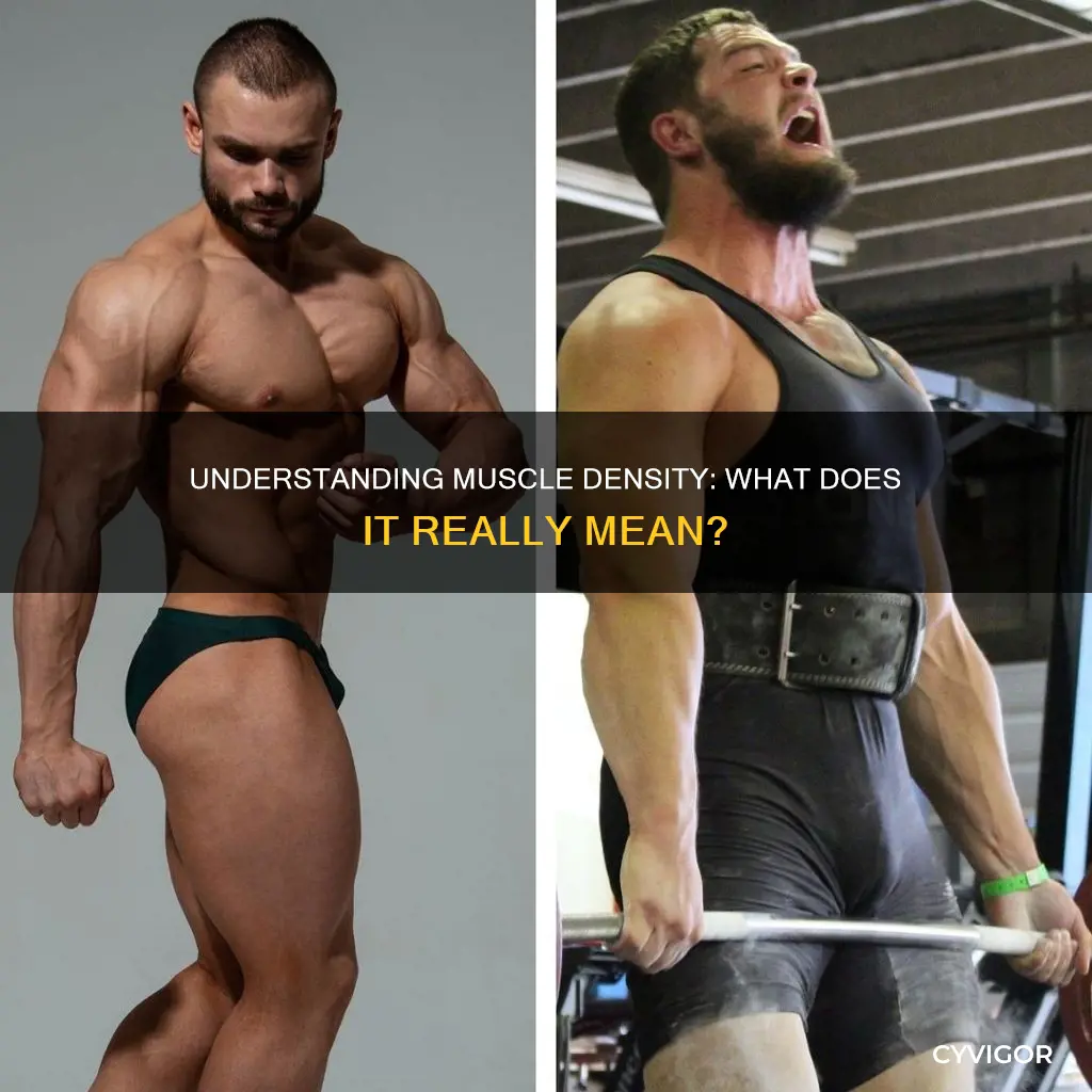 what does muscle density mean